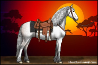 Horse Color:Gray Bay 