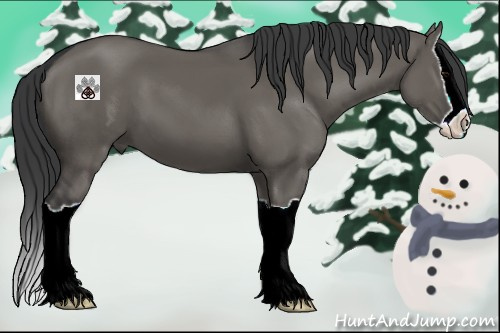 Horse Color:Grullo Splash 