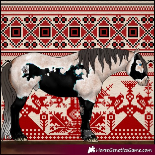 Horse Color:Bay Roan Splash Frame 