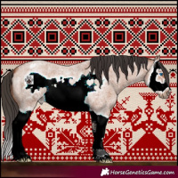 Horse Color:Bay Roan Splash Frame 