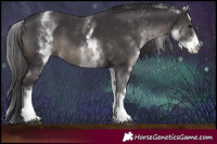 Horse Color:White Spotted Smoky Black 