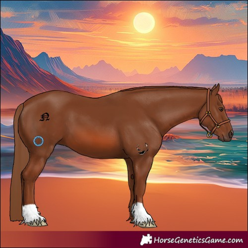 Horse Color:Chestnut 