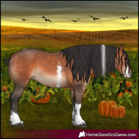 Horse Color:Bay Sabino Tobiano 