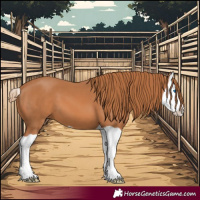 Horse Color:Chestnut Splash 