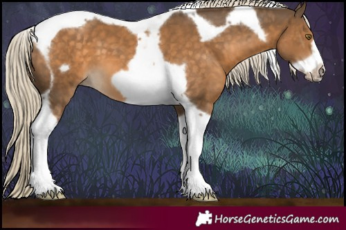 Horse Color:Chocolate Palomino Tobiano Frame 