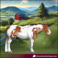 Horse Color:Bay Tobiano Frame