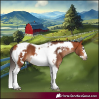 Horse Color:Bay Tobiano Frame 