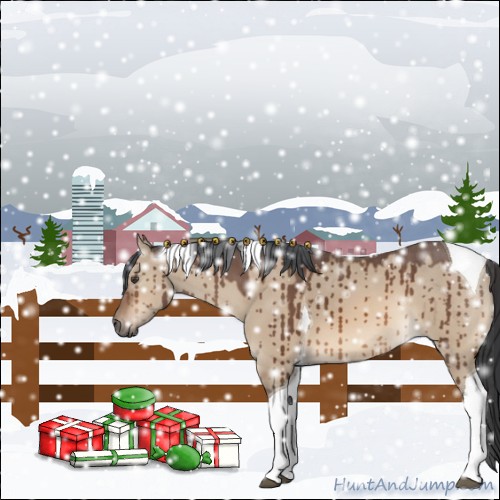 Horse Color:Bay Dun Tobiano Brindle