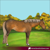 Horse Color:Chocolate Palomino Mushroom 