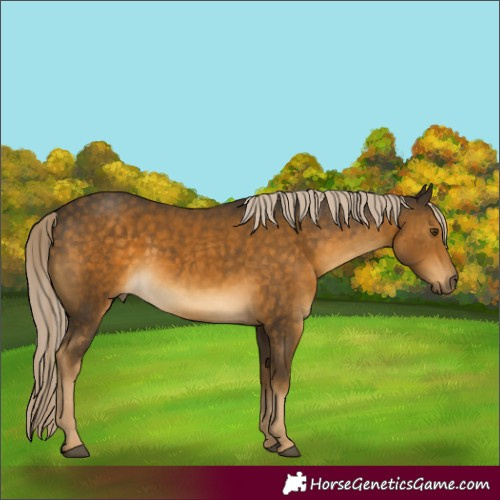 Horse Color:Chocolate Palomino Mushroom 