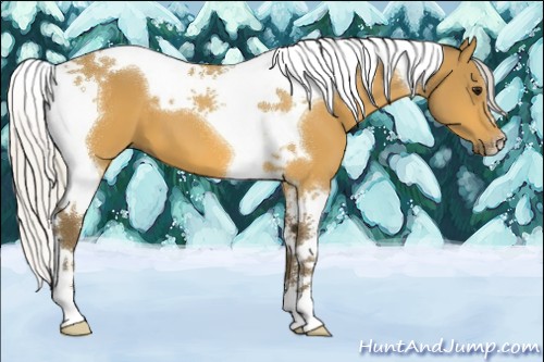 Horse Color:Silver Buckskin Tobiano 