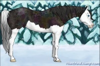 Horse Color:Midnight Bay Ice Splash 