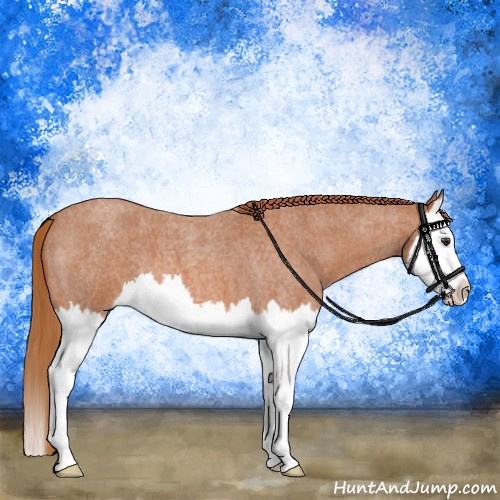 Horse Color:Red Roan Splash