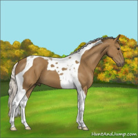 Horse Color:Silver Smoky Black Tobiano 