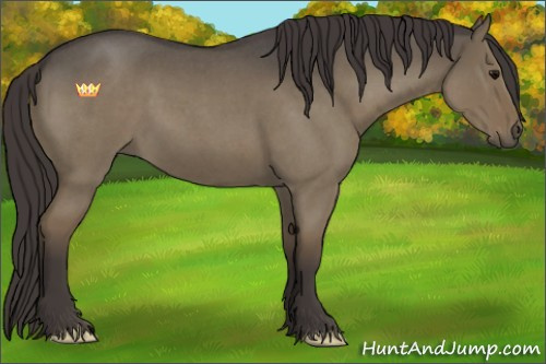 Horse Color:Smoky Grullo Roan 