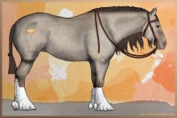 Horse Color:Classic Champagne Dun 