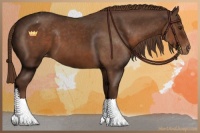 Horse Color:Liver Chestnut Sabino Appaloosa