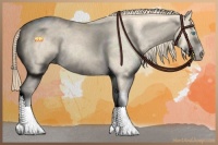 Horse Color:Perlino Sabino Tobiano 