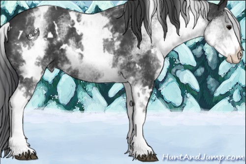 Horse Color:White Spotted Black 