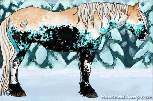 Horse Color:White Spotted Silver Buckskin Sabino