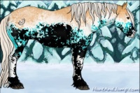 Horse Color:White Spotted Silver Buckskin Sabino 