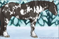 Horse Color:White Spotted Smoky Black Sabino 