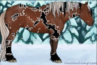Horse Color:White Spotted Silver Brown 