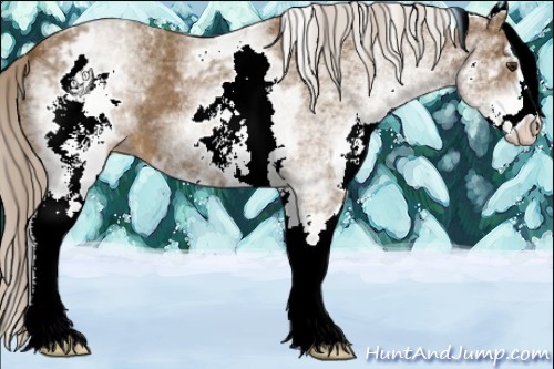 Horse Color:White Spotted Chocolate Palomino Sabino