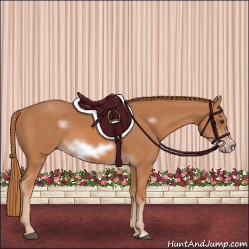 Horse Color:Chestnut Sabino Frame 