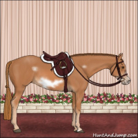 Horse Color:Chestnut Sabino Frame 
