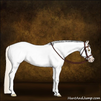 Horse Color:White Spotted Silver Buckskin 