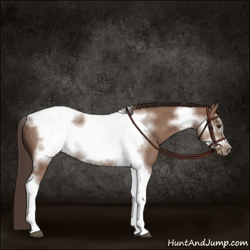 Horse Color:Liver Red Dun Tobiano Frame Rabicano 