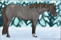 Horse Color:Smoky Blue Roan Varnish