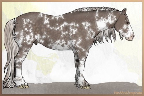 Horse Color:White Spotted Silver Black Sabino 