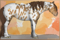 Horse Color:Buckskin Dun Tobiano Near Leopard 