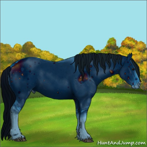 Horse Color:ERROR: UNKNOWN ANOMALY