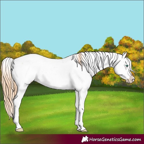 Horse Color:Smoky Black Pearl Sabino