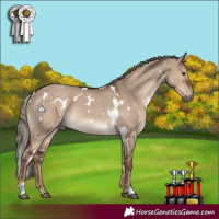 Horse Color:White Spotted Liver Red Dun 