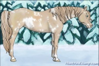 Horse Color:White Spotted Smoky Creme Sabino 