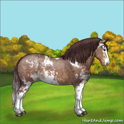 Horse Color:Chocolate Brown Dun Sabino 