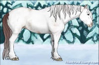Horse Color:White Spotted Chocolate Bay Ice Splash