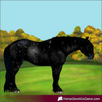 Horse Color:ERROR: UNKNOWN ANOMALY