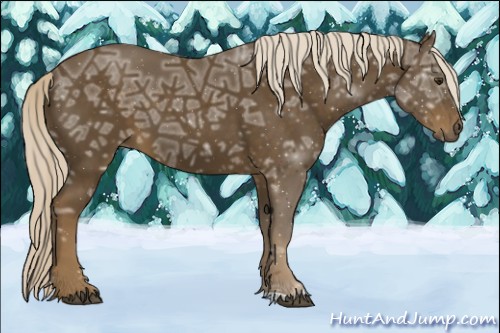 Horse Color:Chocolate Palomino Ice