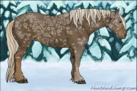 Horse Color:Chocolate Palomino Ice 