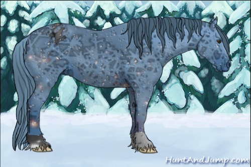 Horse Color:ERROR: UNKNOWN ANOMALY