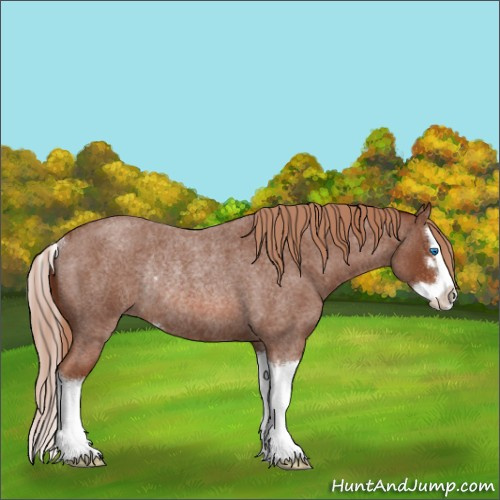 Horse Color:Red Roan Sabino Splash Rabicano 