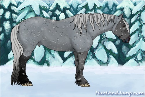 Horse Color:ERROR: UNKNOWN ANOMALY