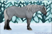 Horse Color:ERROR: UNKNOWN ANOMALY