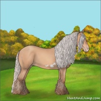 Horse Color:Silver Amber Champagne Frame 