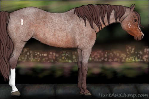 Horse Color:Chocolate Brown Roan 